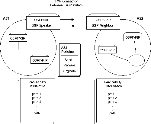 Connections between two Autonomous Systems.