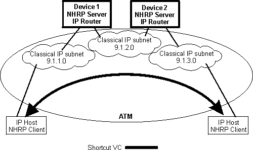 NHRP in a classical IP environment