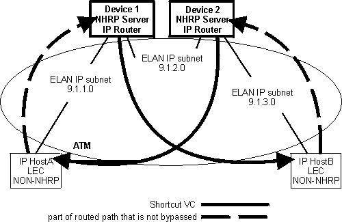 NHRP in an ELAN environment