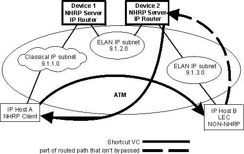 NHRP in a mixed classical IP and ELAN environment