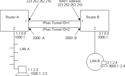 Figure of a Network with IPSec and NAT