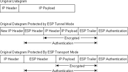 Figure of an ESP-Protected Datagram