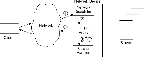 NetWork Dispatcher with Web Cache