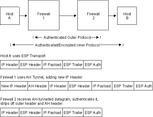 Figure of Nesting ESP Within an AH Tunnel