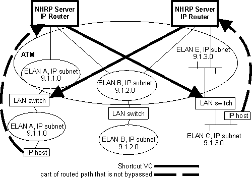 NHRP in an ELAN environment with LAN switches