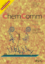 front cover image for Chemical Communications, Issue 22, 2004